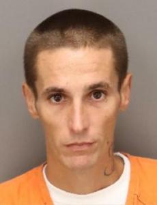 Steven Robert Steen Jr a registered Sexual Offender or Predator of Florida