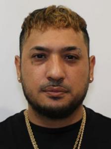 Ernesto Fermin Guevara a registered Sexual Offender or Predator of Florida