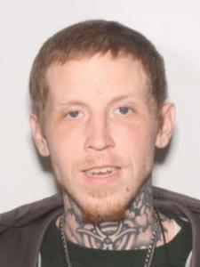 Thomas Lee Ard Bernardini a registered Sex Offender of Michigan