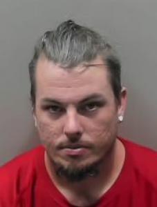 Travis Lee Collins a registered Sexual Offender or Predator of Florida