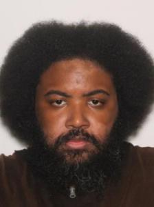 Bronson De Lamare Toborg a registered Sexual Offender or Predator of Florida