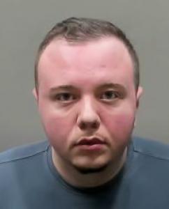 Ryan Matthew Buehler a registered Sexual Offender or Predator of Florida