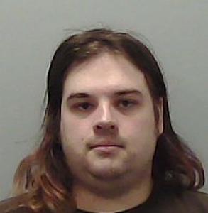 Ashten Kayne Henderson a registered Sexual Offender or Predator of Florida
