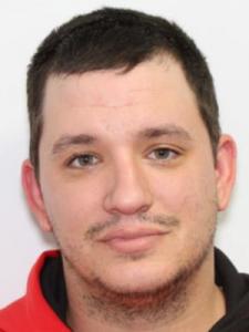 Craig Evan Stout a registered Sexual Offender or Predator of Florida