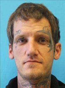 Chase Allen Wagenseller a registered Sex Offender of Michigan