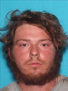 Nathan Allen Salo a registered Sex Offender of Mississippi