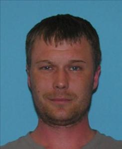 Michael Lynn Davis a registered Sex Offender of Tennessee