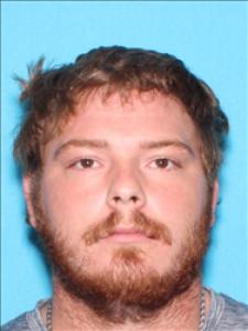 Nathan Allen Salo a registered Sex Offender of Mississippi