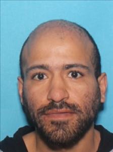 Irving Pagan Martinez a registered Sexual Offender or Predator of Florida