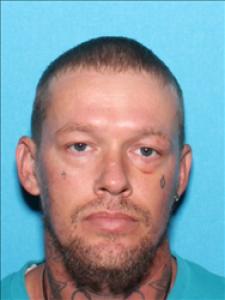 Brandon Matthew Williams a registered Sex Offender of Mississippi