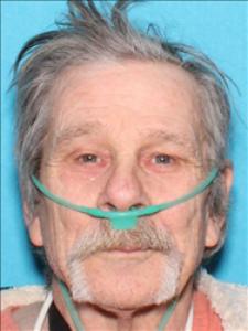 David Wayne Merritt a registered  of Mississippi