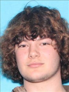 David Austin Brauer a registered Sex Offender of Mississippi