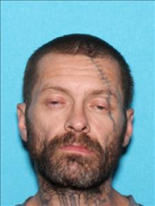 Brandon S Ellis a registered Sex Offender of Mississippi