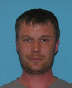 Michael Lynn Davis a registered Sex Offender of Tennessee