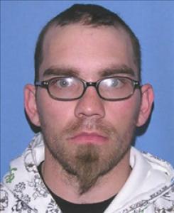 Daniel Michael Lisowski a registered Sexual Offender or Predator of Florida