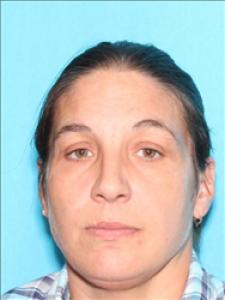 Beth Anne Brister a registered Sex Offender of Mississippi