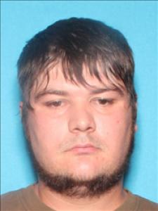 Dillan Charles Martin a registered Sex Offender of Mississippi