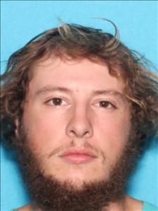 Gavin Chase Towles a registered Sex Offender of Mississippi