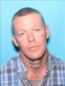 Brandon Matthew Williams a registered Sex Offender of Mississippi