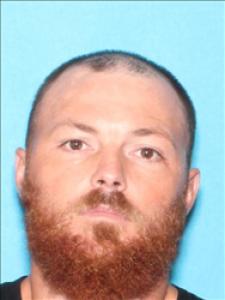 Brandon Kyle Ladnier a registered Sex Offender of Mississippi