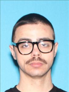 Dylan Wade Mcgregor a registered Sex Offender of Mississippi