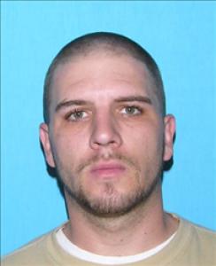 Stephen Adam Keely a registered Sex Offender of Michigan