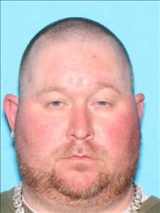 Troy Michael Palmer a registered Sex Offender of Mississippi