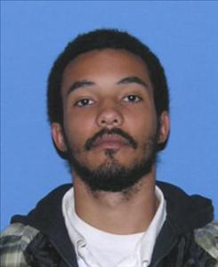 Jeremy Marcus Westbrook a registered Sex Offender of Michigan