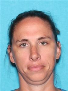 Lisa Denise Atkinson a registered Sex Offender of Tennessee