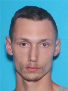 Wraith Alexander Whalen a registered Sex Offender of Michigan
