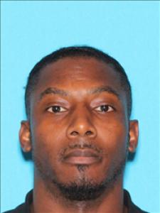 Damein Fitzgerald Anderson a registered Sex Offender of Mississippi
