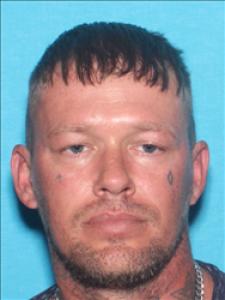 Brandon Matthew Williams a registered Sex Offender of Mississippi