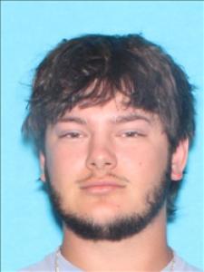 David Austin Brauer a registered Sex Offender of Mississippi