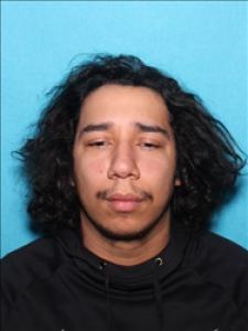 Trenton Louis Lane a registered Sex Offender of Mississippi
