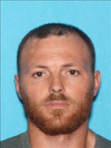 Brandon Kyle Ladnier a registered Sex Offender of Mississippi