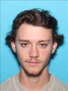 Brandon Lee Cummings a registered Sex Offender of Mississippi