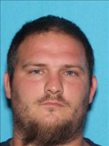 Jesse Allen Brister a registered Sex Offender of Mississippi