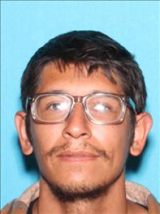 Michael Tong Phong Keinrath a registered Sex Offender of Mississippi
