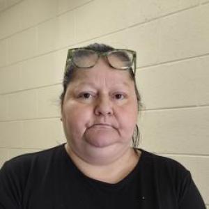 Michele Arlene Saenz a registered Sex Offender of Colorado