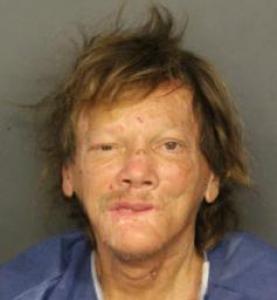 William Jay Hollenbeck a registered  of Colorado