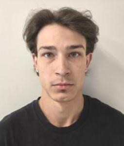 Damon Allen Adamson a registered Sex Offender of Colorado