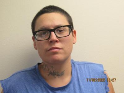 Shellane Lakay Trautman a registered Sex Offender of Wyoming