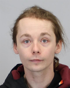 Brenden Nicholes Day a registered Sex Offender of Wyoming