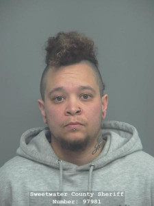 Carolyn Cassidy Heiner a registered Sex Offender of Wyoming