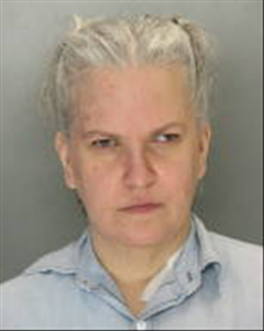 Carol Ann Hann a registered Sex Offender of Pennsylvania