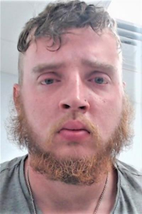 Shane Austin Musselman a registered Sex Offender of Pennsylvania