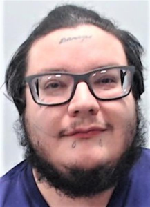 Michael Vincent Hamilla a registered Sex Offender of Pennsylvania