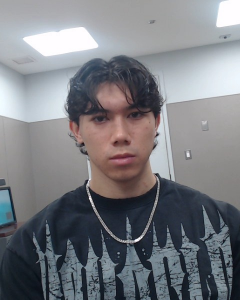 Noa Hoanglinh Demontis a registered Sex Offender of Pennsylvania