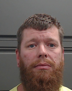 Daniel Glenn Rice a registered Sex Offender of Maryland
