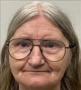 Virginia Heaton Mcintyre a registered Sex Offender of Georgia